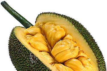 fresh jackfruit faq