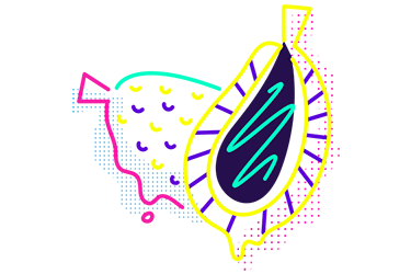 Biff's Jackfruit Illustration