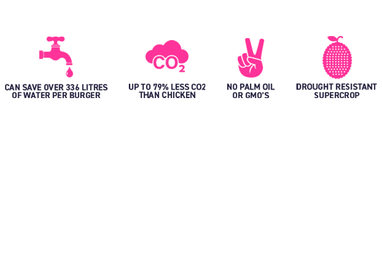 Jackfruit FAQ Biffs Jackfruit Burgers What is jackfruit?